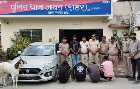जावरा पुलिस की बड़ी कार्रवाई ; बकरा चोरी गिरोह का पर्दाफाश, इंदौर के चार आरोपी गिरफ्तार, 6 लाख 62 हजार से अधिक की सामग्री जब्त
