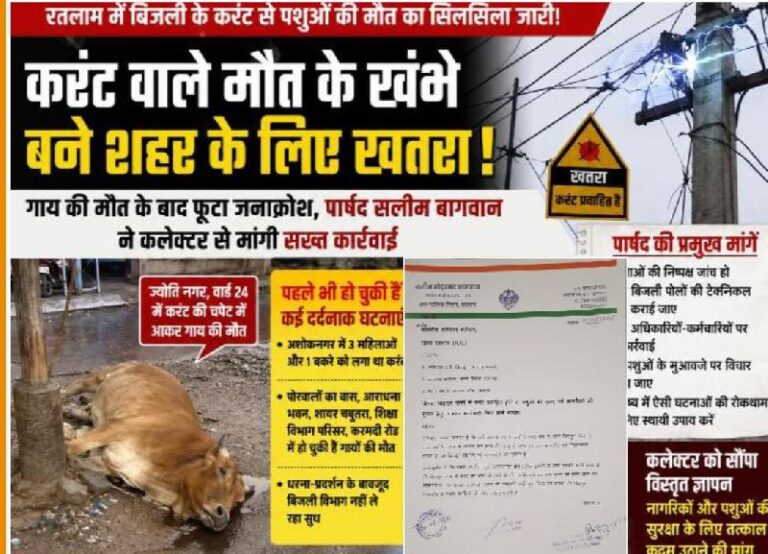 रतलाम में बिजली विभाग की बड़ी लापरवाही ; ज्योति नगर, वार्ड 24 में करंट की चेपट में आने से गाय की मौत ,शहर की सड़कों पर खतरा बने करंट वाले मौत के खंभे-पार्षद सलीम बागवान ने लिखा पत्र,कलेक्टर से मांगी सख्त कार्रवाई”