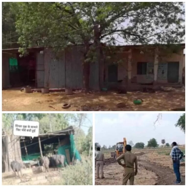 खेड़ी ताल में फिर गरमाया सरकारी जमीन और स्कूल भवन का मुद्दा:अतिक्रमण हटते ही दोबारा कब्जे का खतरा, जर्जर स्कूल और जंग खाता सरकारी सामान बना चुनौती,ग्रामीणों की आवाज और मीडिया की पड़ताल के बाद हरकत में आया प्रशासन